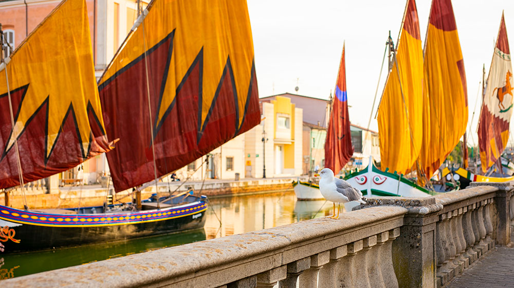 Cesenatico Bellavita